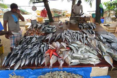 Sri Lanka bustling Galle market | elephanttoe.com