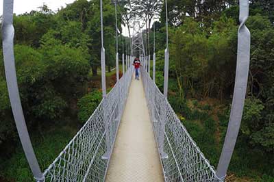 Peradeniya Flower Garden | elephanttoe.com