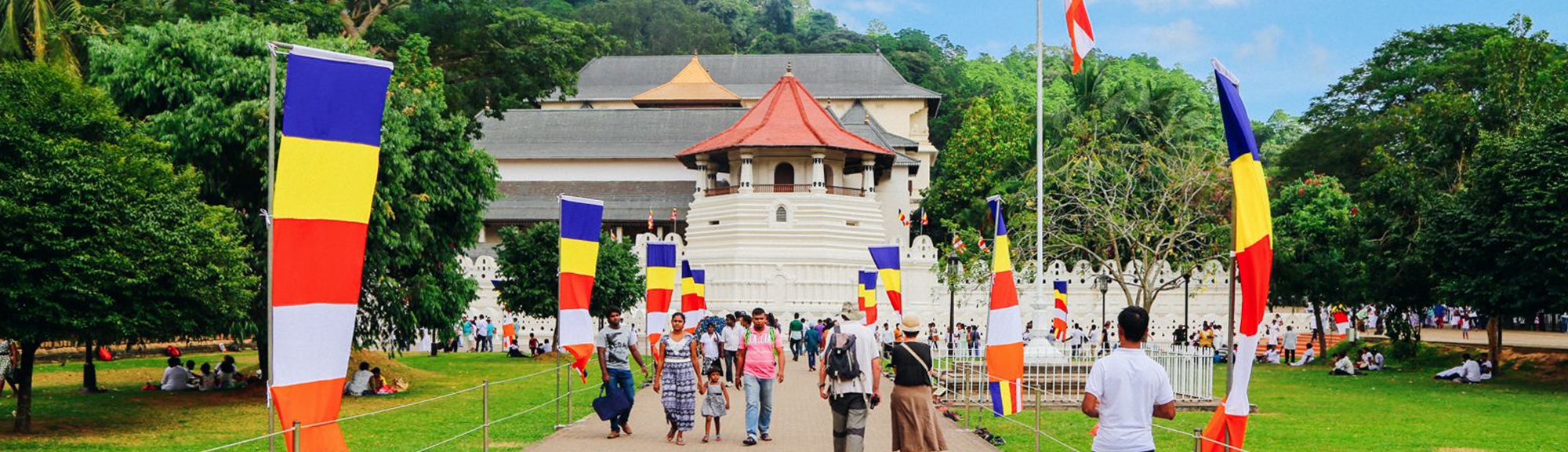 sri lanka kandy day tour 