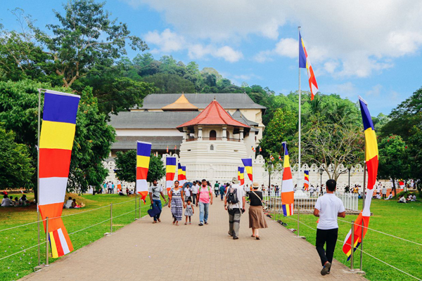 Sri lanka day tour kandy | elephanttoe.com