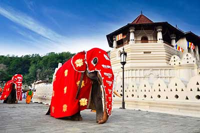 Temple of tooth relic | elephanttoe.com
