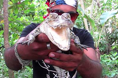 Madu River Crocadile | elephanttoe.com