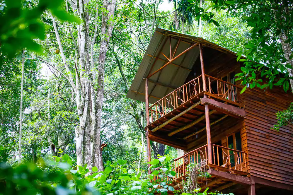 Ella Eco Homes | elephanttoe.com