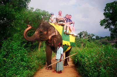 Habarana Elephant Riden Sri Lanka | elephanttoe.com