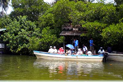 Madu River | elephanttoe.com