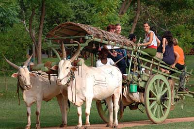 Village Tour | elephanttoe.com