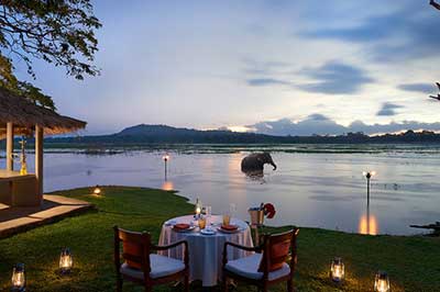 Habarana Cinnoman Hotel | elephanttoe.com