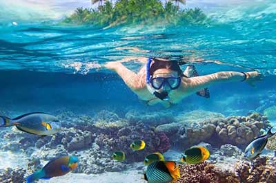 Snorkeing Pigen Island  | elephanttoe.com