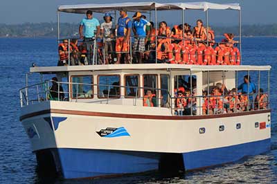 Blue Whales Watching | elephanttoe.com