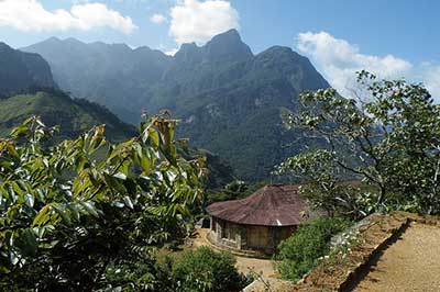 knuckles Mountain Sri Lanka | elephanttoe.com 